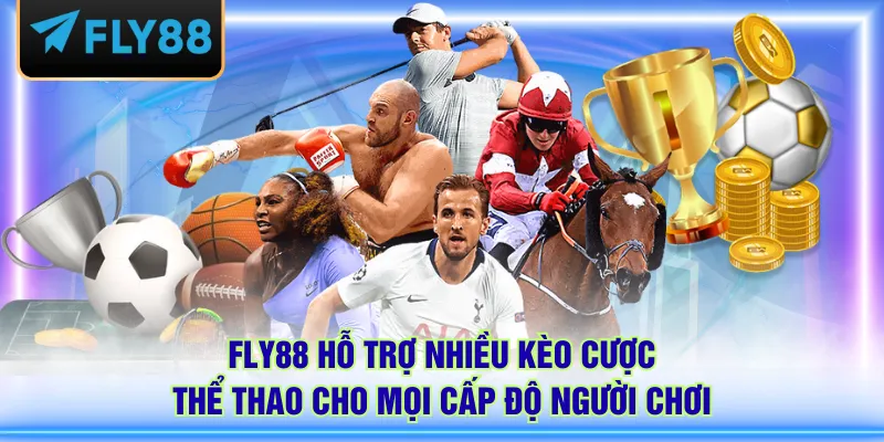 FLY88 hỗ trợ nhiều kèo cược thể thao cho mọi cấp độ người chơi