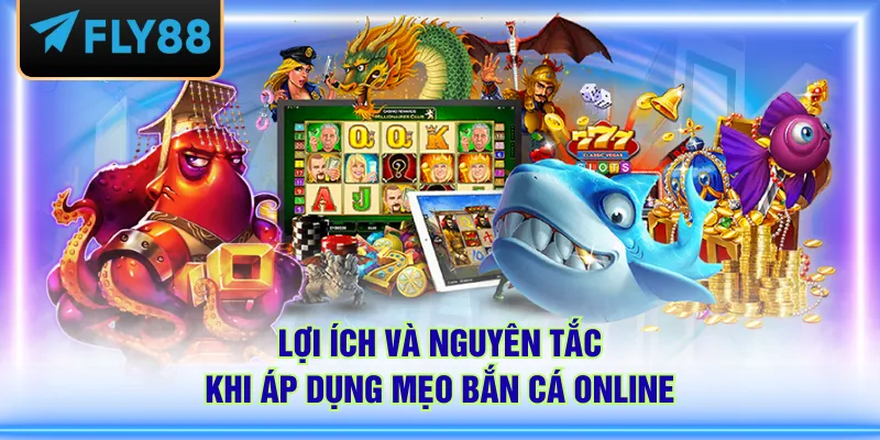 Lợi ích và nguyên tắc khi áp dụng mẹo bắn cá online