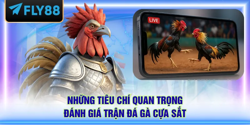 Những tiêu chí quan trọng đánh giá trận đá gà cựa sắt