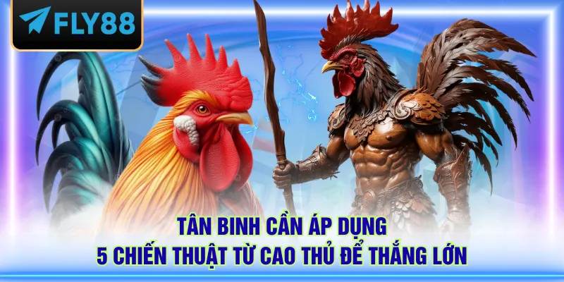 Tân binh cần áp dụng 5 chiến thuật từ cao thủ để thắng lớn