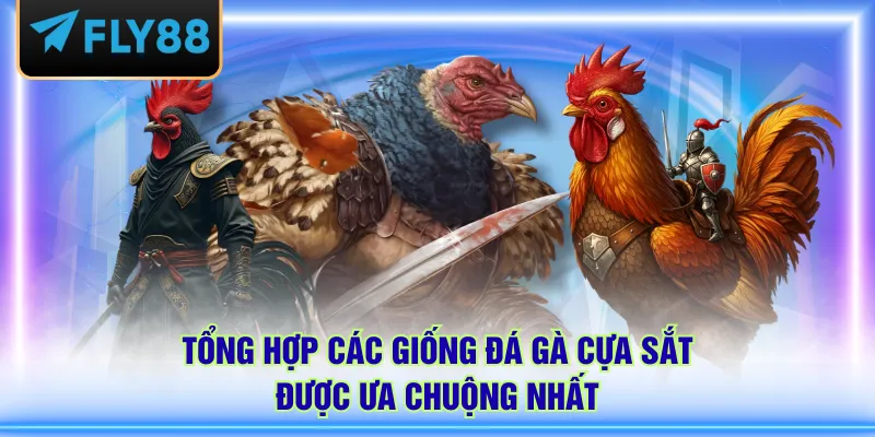 Tổng hợp các giống đá gà cựa sắt được ưa chuộng nhất