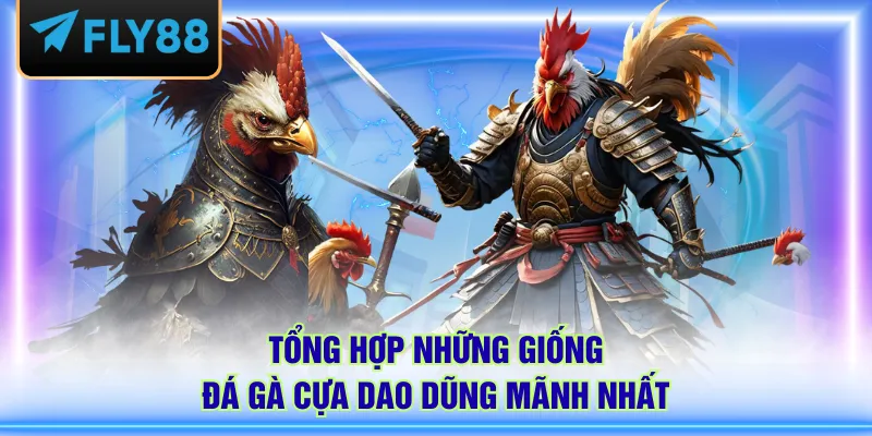 Tổng hợp những giống đá gà cựa dao dũng mãnh nhất